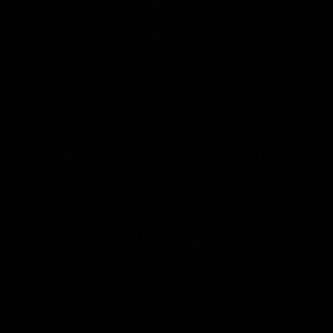 Meet your Posher, Carson